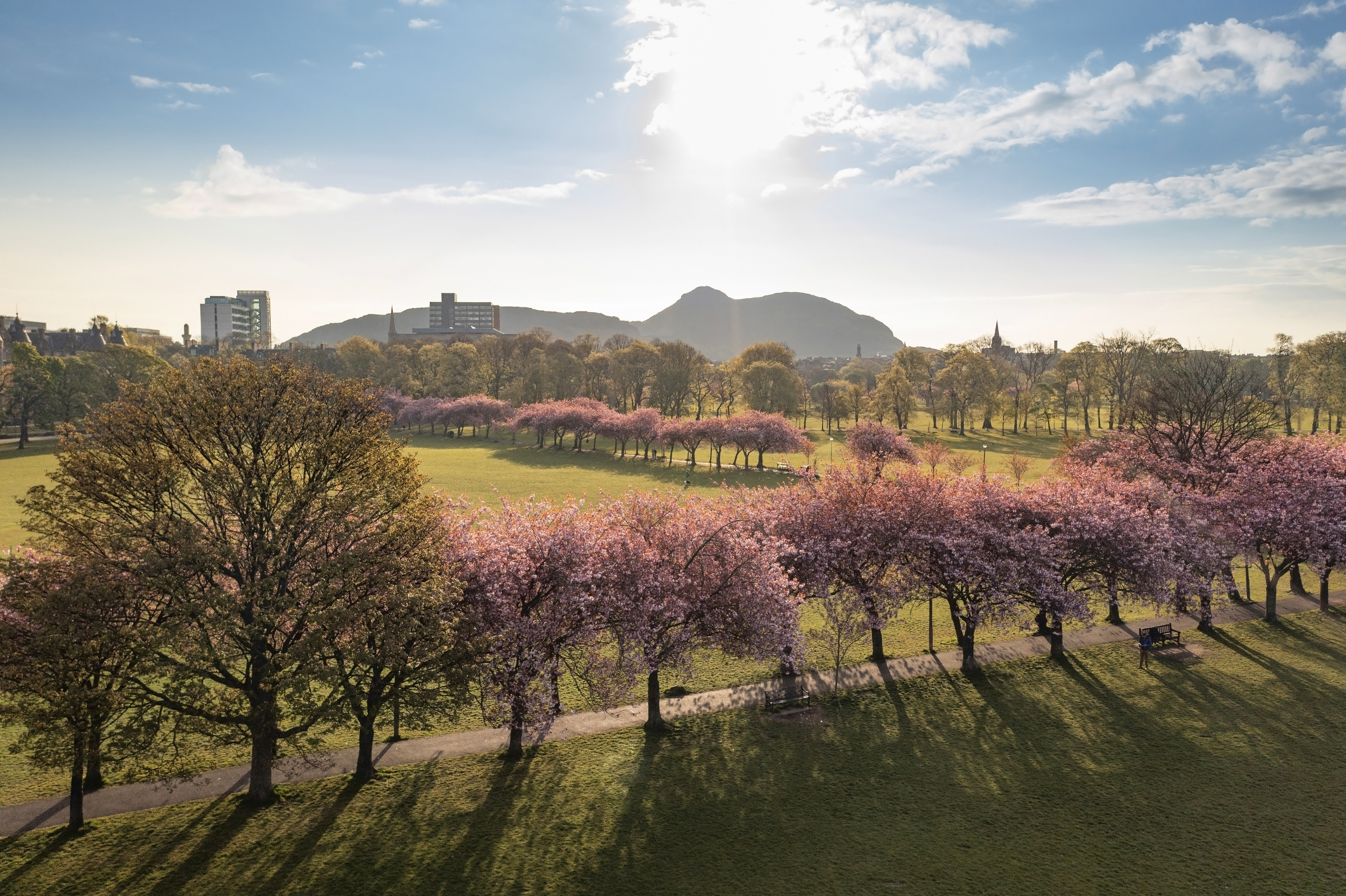 The University of Edinburgh logo